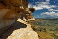 Tasmania - Maria Island o6473